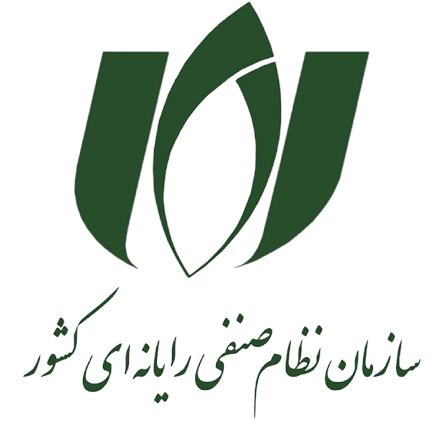 سازمان نظام صنفی رایانهای کشور